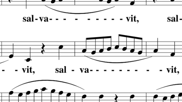 Darstellung eines Notensatzes mit zahlreichen Achtel- und Sechzehntel&shy;noten sowie geschwungenen Bindeb&ouml;gen, darunter wiederholt das Wort &bdquo;sal-va-vit&ldquo;.